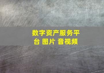 数字资产服务平台 图片 音视频